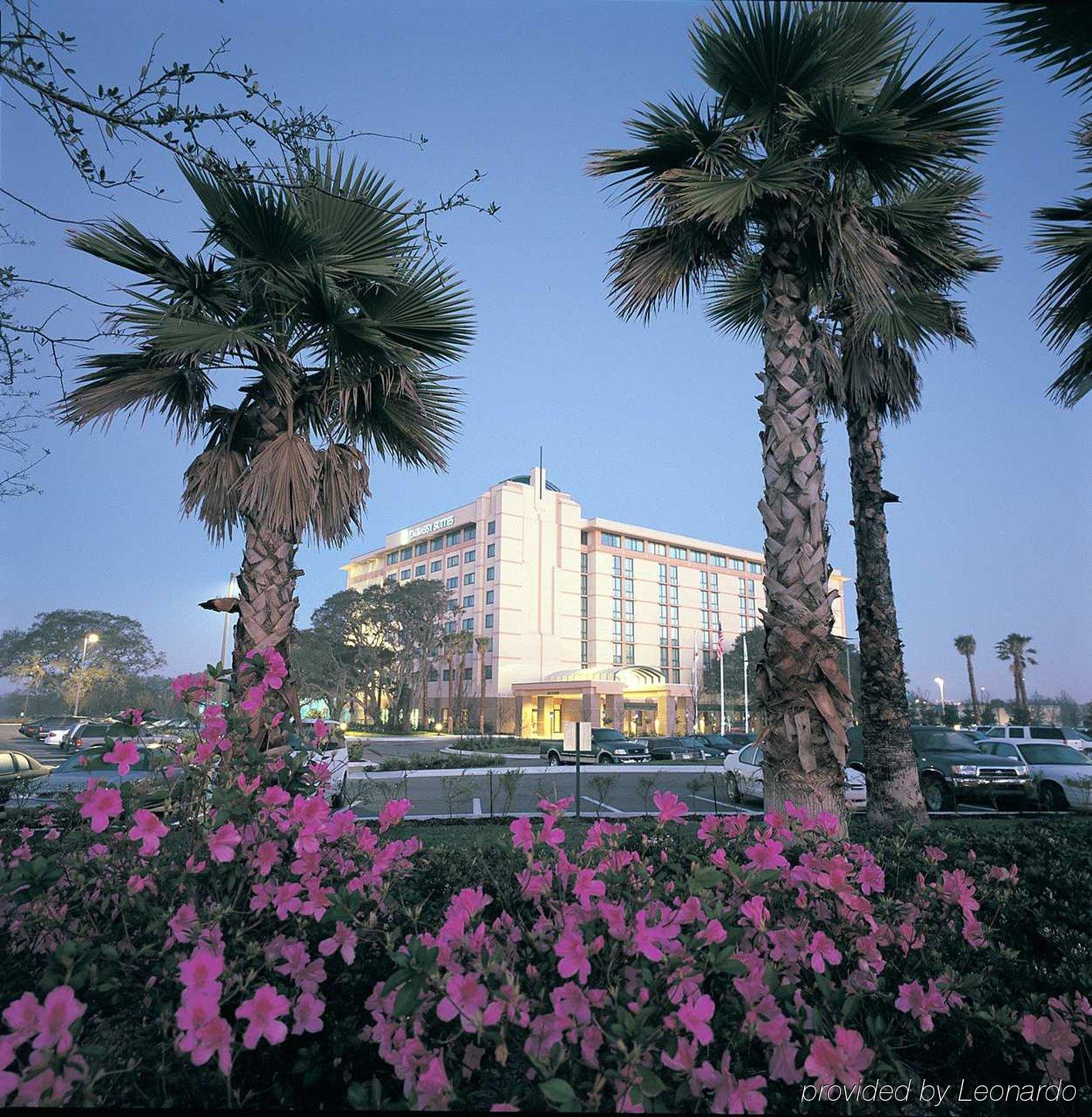 เอมบาสซี สวีท แทมปา ยูเอสเอฟ เนียร์ บุชการ์เด้น Hotel ภายนอก รูปภาพ